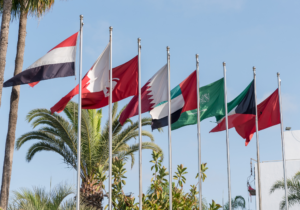 MENA: Key themes 2024 – The GCC will defy the global slowdown