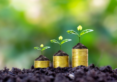 Sustainable Finance Disclosure Regulation