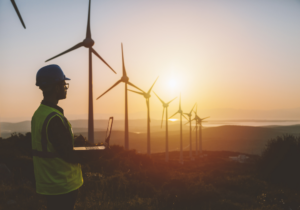 It’s time to address the elephant in Africa ‒ transitioning to renewables won’t be easy