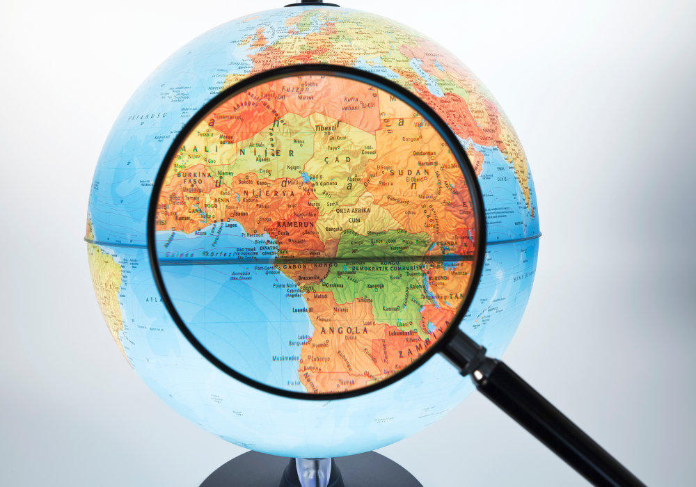 非洲： 2024 年选举