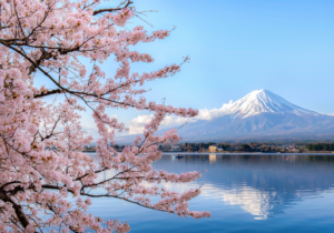 出人意料的强劲工资数据终结了日本的 NIRP 和 YCC