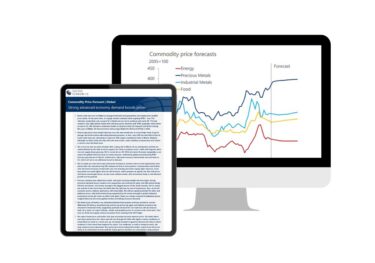 Commodities Price Forecasts reports