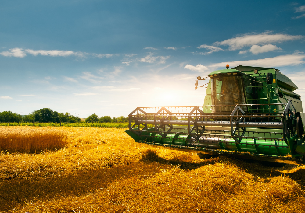 Wheat prices soften in 2024, but risks tilted to the upside