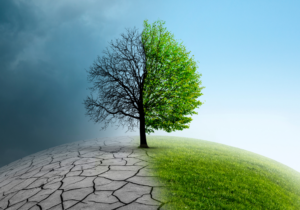 The Green Leap: COP29 to reframe funding support