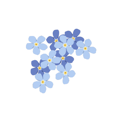 Forget me not flowers