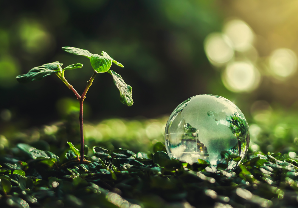Sustainabiity, climate, green nature