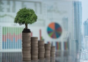 Indirect climate risk in financial analysis