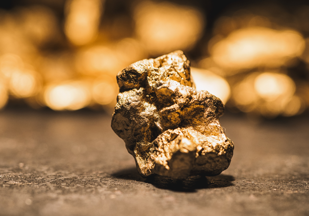 Informed Investment Decisions