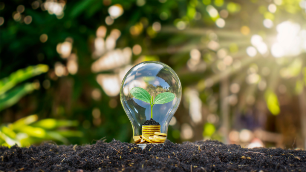 Sustainability lightbulb