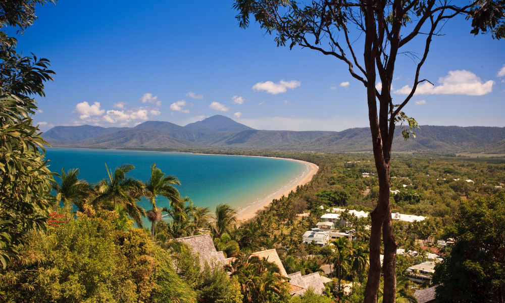 Analysis and commentary