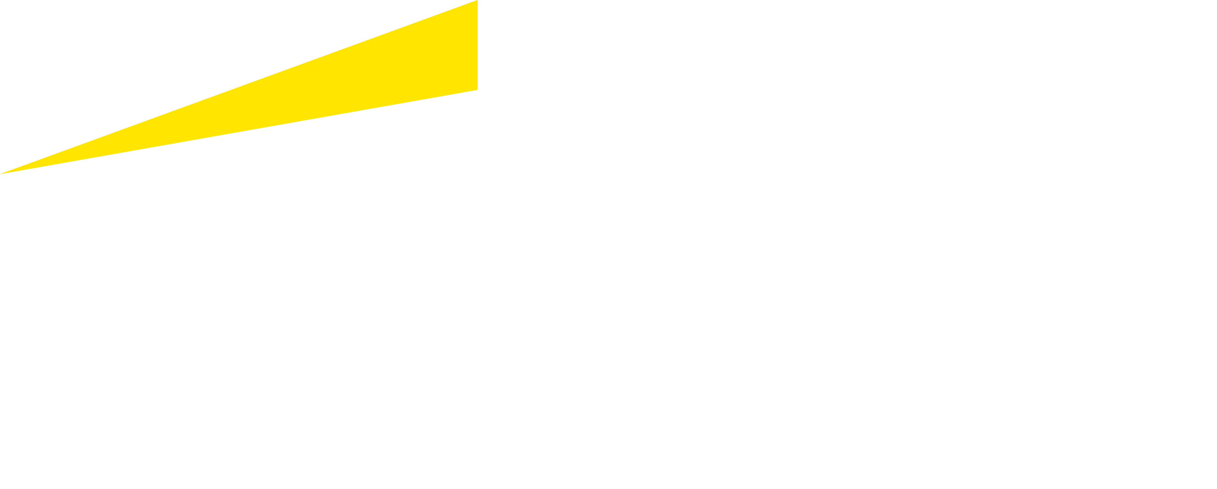 EY_Logo_Beam_STFWC_Horizontal_Small_RGB_White_Yellow_EN (002)