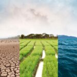 Nature scenarios: What changing environmental risks mean for businesses