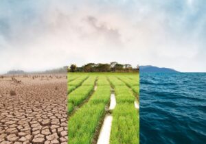 Nature scenarios and implications