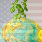 Trump 2.0: US climate policy in retreat