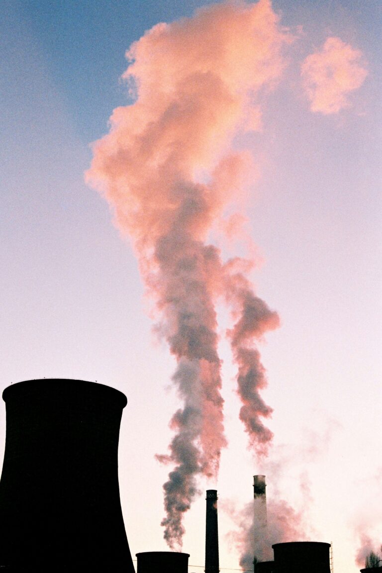 Toward a global carbon pricing system - Hinrich Foundation
