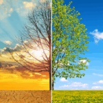 Climate Risk Insurance Modelling for Australia’s Future