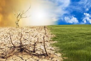 COP 30 in focus: How to stay the course on the path to Net Zero