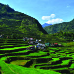 From Farm to Table: The Philippine Agri-Food Economy in 2025 and the Road to Competitiveness