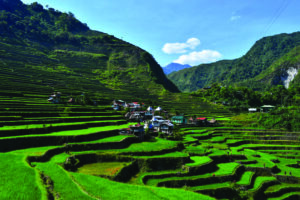 From Farm to Table: The Philippine Agri-Food Economy in 2025 and the Road to Competitiveness